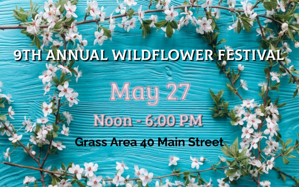 2023 9th Annual Wildflower Festival Hornell Partners for Growth